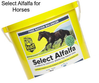 Select Alfalfa for Horses