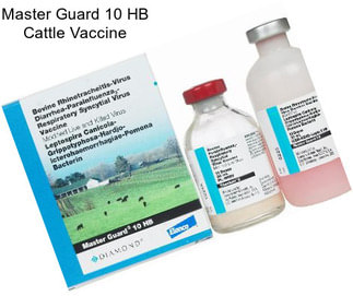 Master Guard 10 HB Cattle Vaccine