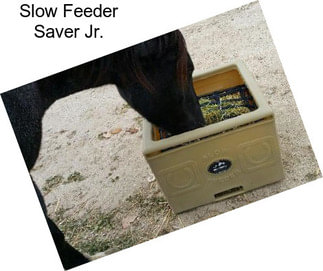 Slow Feeder Saver Jr.