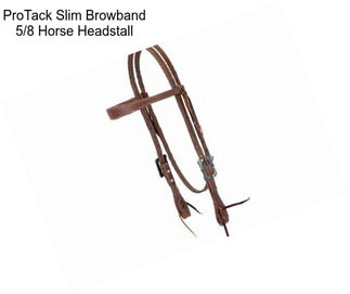 ProTack Slim Browband 5/8\