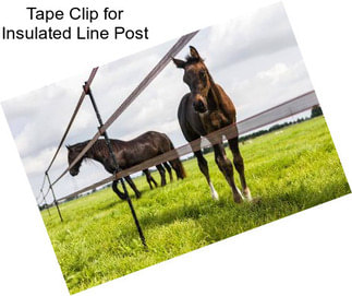 Tape Clip for Insulated Line Post