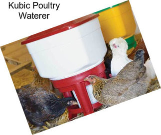 Kubic Poultry Waterer