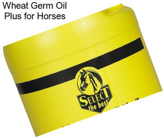 Wheat Germ Oil Plus for Horses