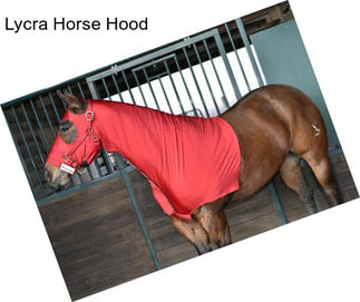 Lycra Horse Hood