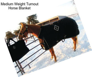 Medium Weight Turnout Horse Blanket