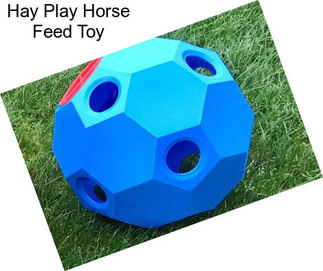 Hay Play Horse Feed Toy