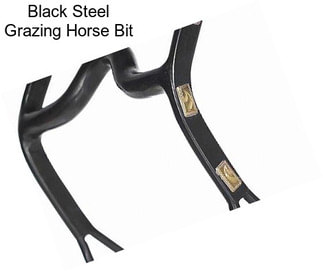 Black Steel Grazing Horse Bit