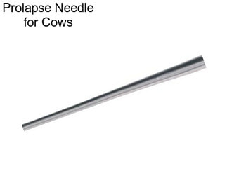 Prolapse Needle for Cows