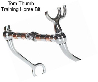 Tom Thumb Training Horse Bit