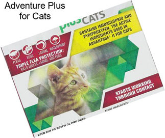 Adventure Plus for Cats