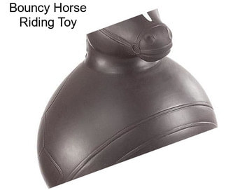 Bouncy Horse Riding Toy