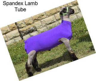 Spandex Lamb Tube