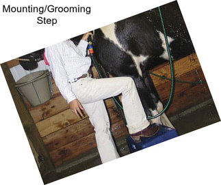 Mounting/Grooming Step