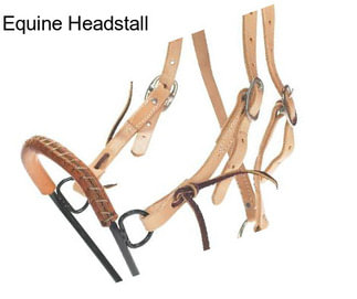 Equine Headstall