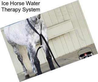 Ice Horse Water Therapy System