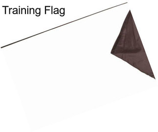Training Flag
