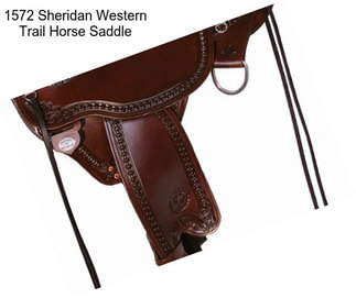 1572 Sheridan Western Trail Horse Saddle