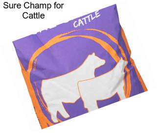 Sure Champ for Cattle