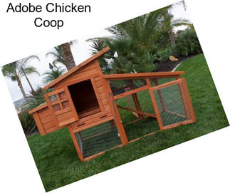 Adobe Chicken Coop