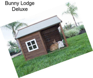 Bunny Lodge Deluxe