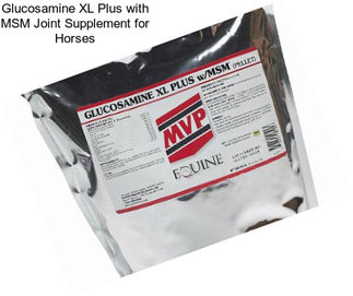 Glucosamine XL Plus with MSM Joint Supplement for Horses