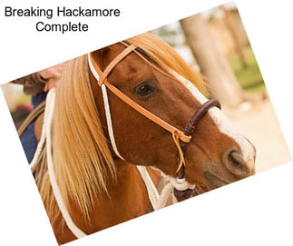 Breaking Hackamore Complete