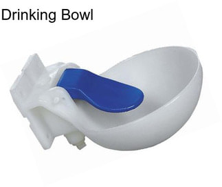 Drinking Bowl