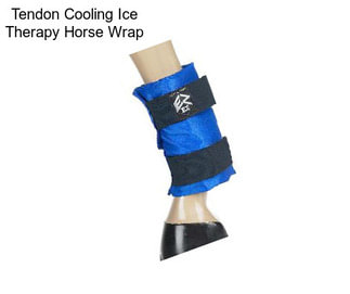 Tendon Cooling Ice Therapy Horse Wrap