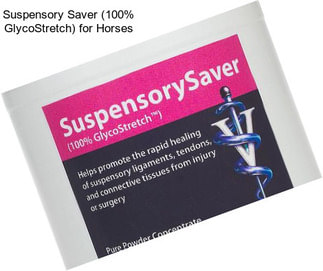 Suspensory Saver (100% GlycoStretch) for Horses