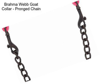 Brahma Webb Goat Collar - Pronged Chain