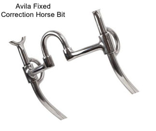 Avila Fixed Correction Horse Bit