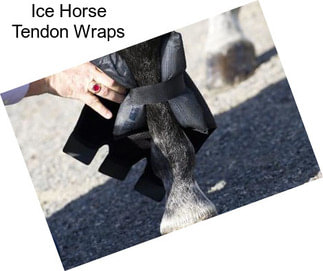 Ice Horse Tendon Wraps