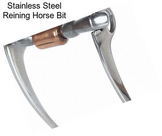 Stainless Steel Reining Horse Bit