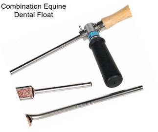 Combination Equine Dental Float