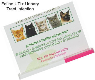 Feline UTI+ Urinary Tract Infection