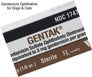 Gentamicin Ophthalmic for Dogs & Cats