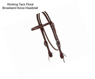 Working Tack Floral Browband Horse Headstall