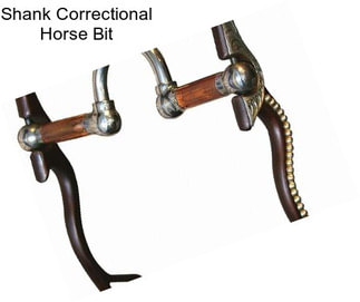 Shank Correctional Horse Bit