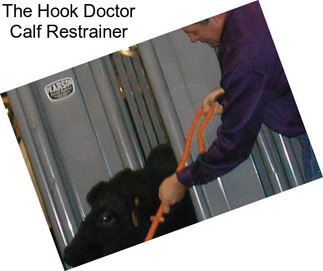 The Hook Doctor Calf Restrainer