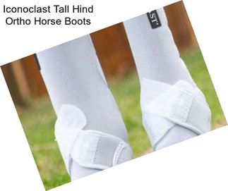 Iconoclast Tall Hind Ortho Horse Boots