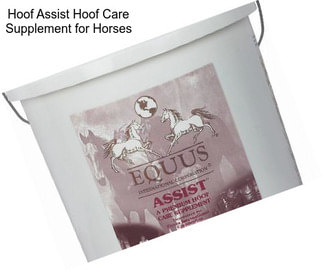 Hoof Assist Hoof Care Supplement for Horses