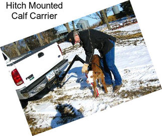 Hitch Mounted Calf Carrier