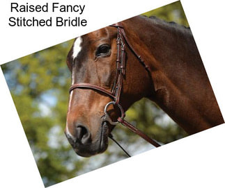 Raised Fancy Stitched Bridle