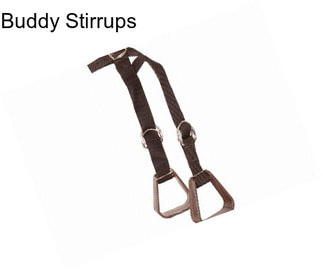 Buddy Stirrups