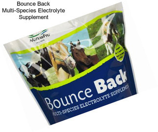 Bounce Back Multi-Species Electrolyte Supplement