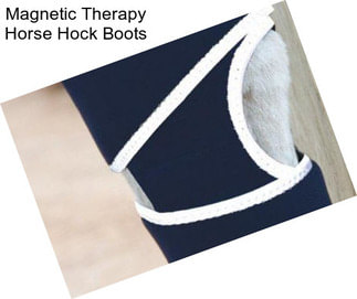 Magnetic Therapy Horse Hock Boots