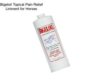 Bigeloil Topical Pain Relief Liniment for Horses