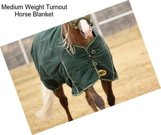 Medium Weight Turnout Horse Blanket