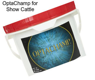 OptaChamp for Show Cattle