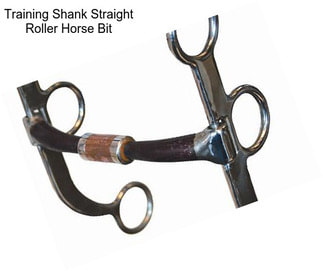 Training Shank Straight Roller Horse Bit